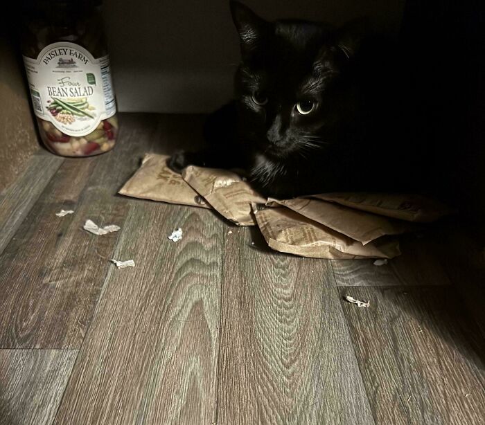 Black cat up to no good hiding in the dark with torn paper bags on a wooden floor, showing cute mischievous behavior.