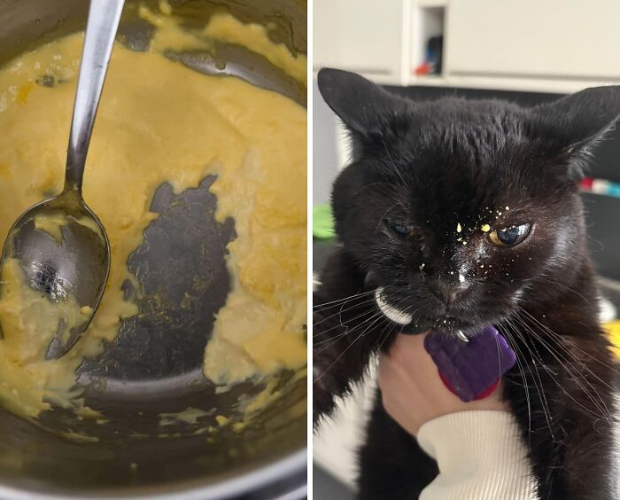 Black cat with food on its face held by person next to a pan with yolk resembling a cat shape, showing cats who are up to no good.