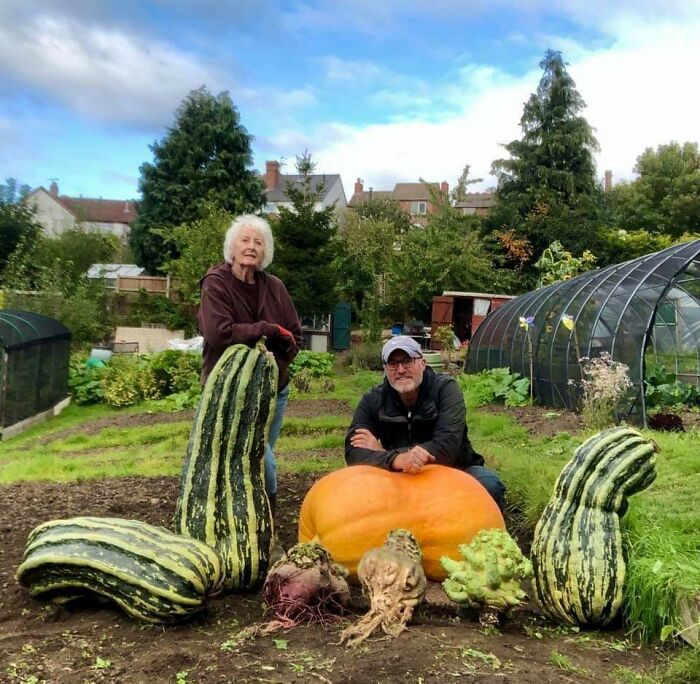 Two people in a garden showing the scale of unusually large vegetables with a human for scale comparison.