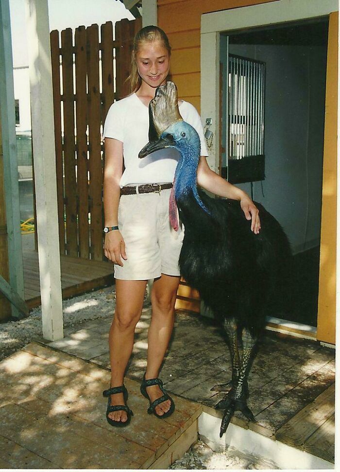Young woman standing next to a large cassowary bird, illustrating human for scale and size comparison outdoors.