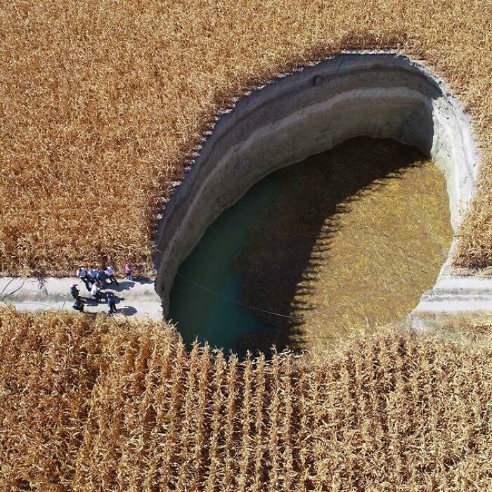 A group of people standing next to a large sinkhole in a field, showing human for scale perspective.