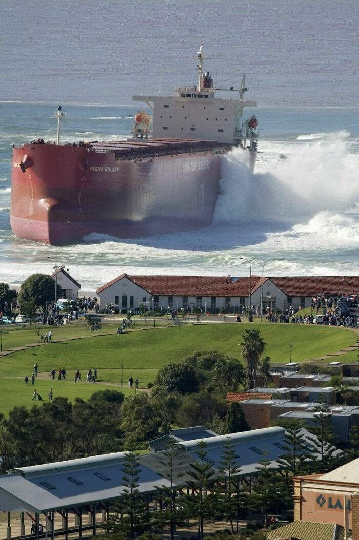 Massive cargo ship crashing through waves near shore with humans for scale on grassy area and buildings nearby.