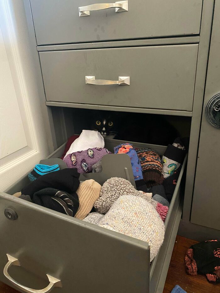 Black and white cat blending with shadows inside a drawer full of socks, showcasing cats seamlessly merged into the background.