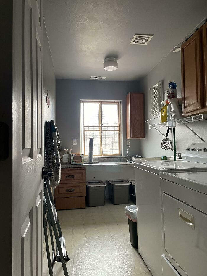 Cat seamlessly blending into the laundry room background near trash bins and wooden cabinets under natural light.