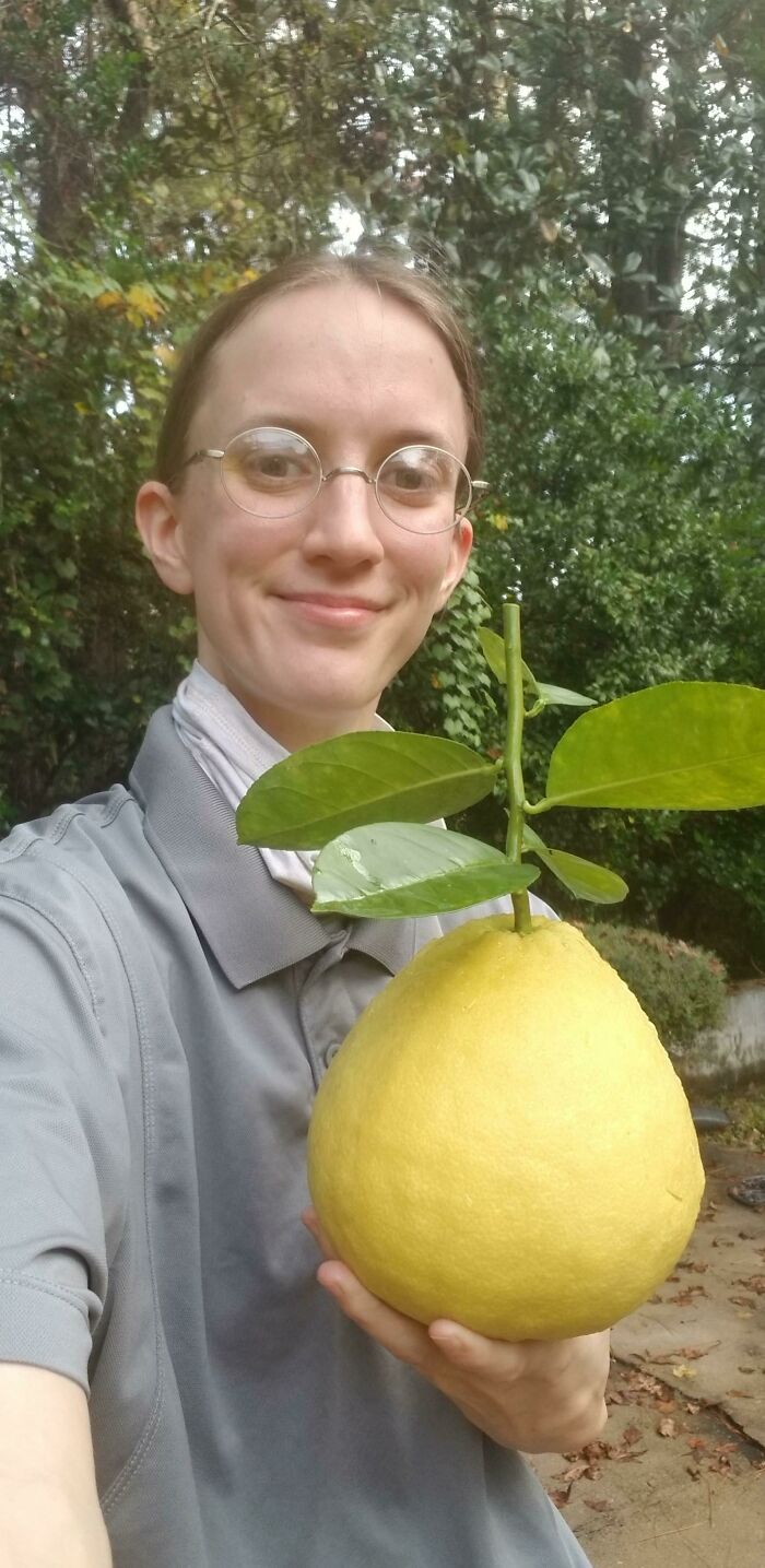 Person holding an unusually large yellow fruit outdoors demonstrating human for scale in a natural setting.