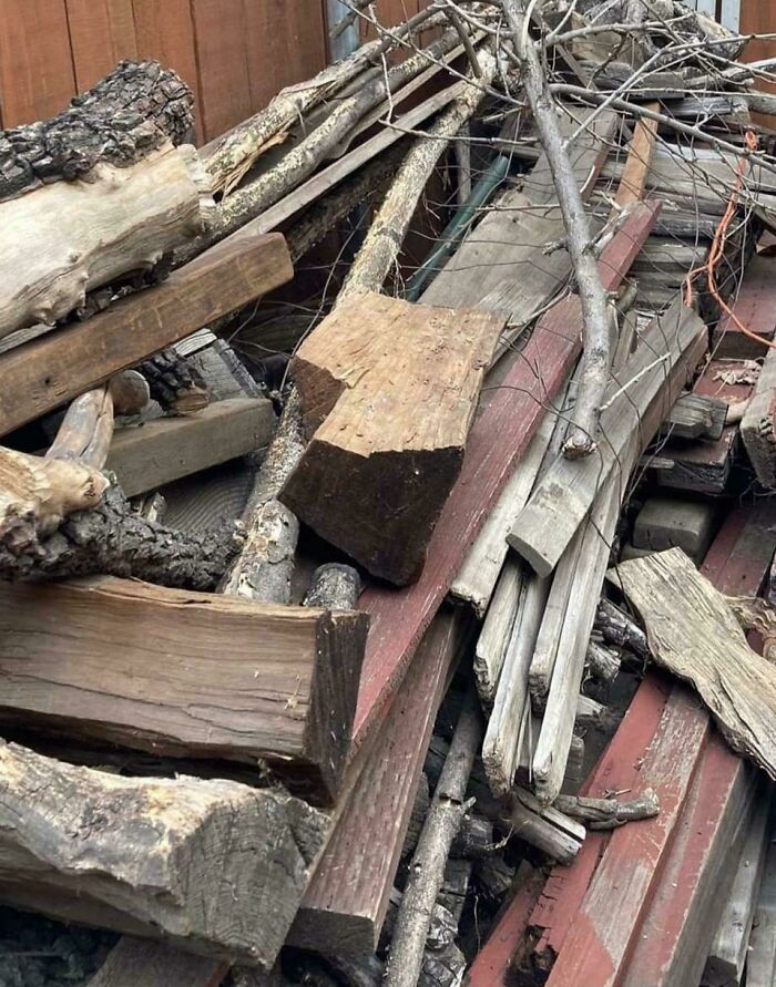 Cat camouflaged among wooden logs and branches blending seamlessly into the background with natural wood tones.