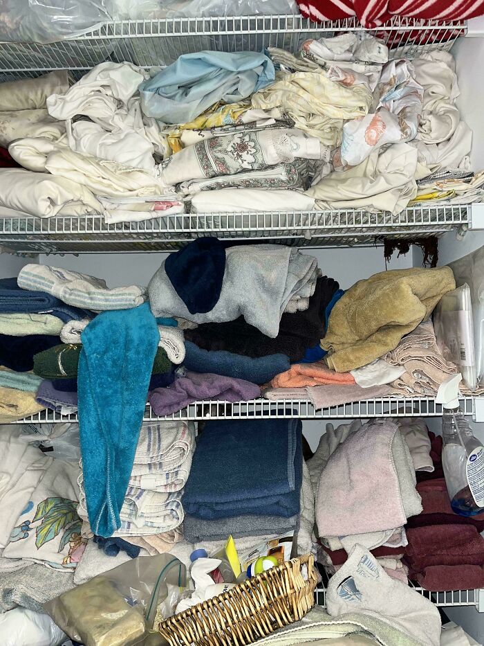 Cat camouflaged among folded towels and linens on closet shelves, blending seamlessly into the background.