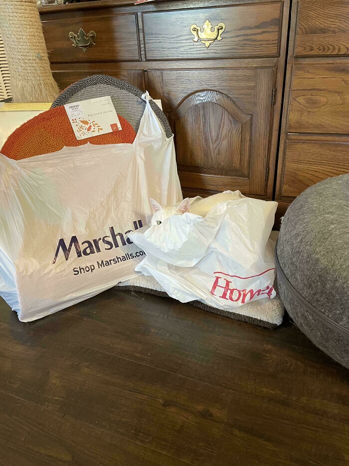 White cat blending into white shopping bags on wooden floor in a room with wooden furniture and gray furniture piece nearby.