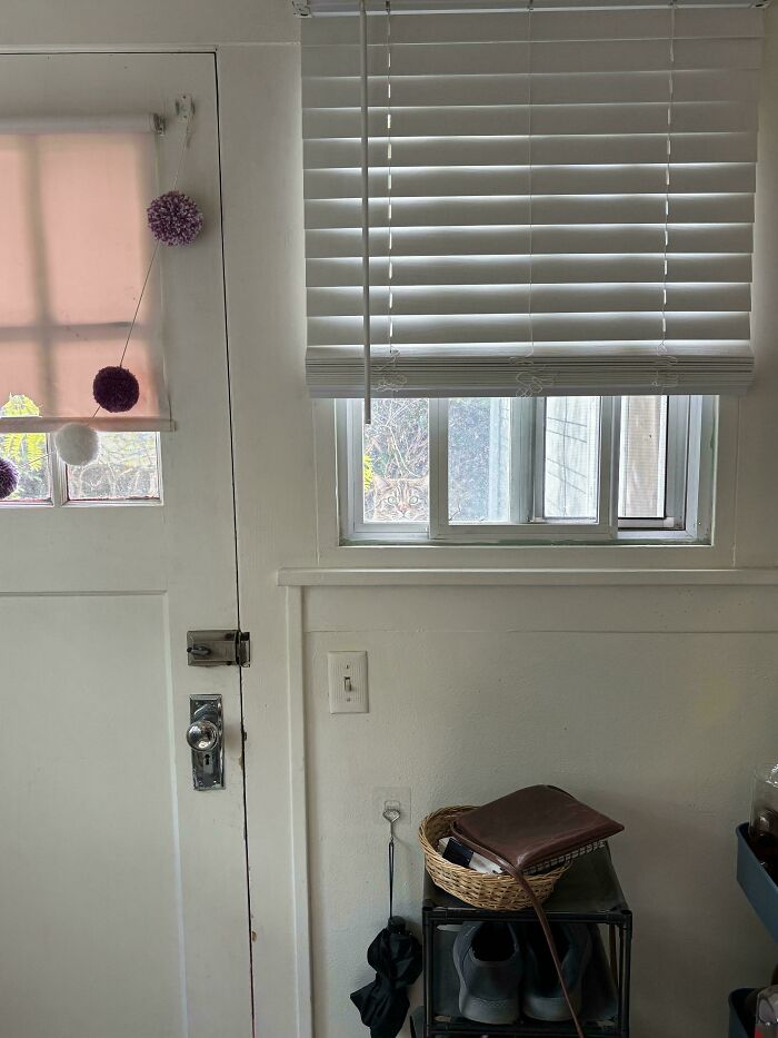 Cat camouflaged behind a window with blinds in a cozy room, seamlessly merged into the background near the door.