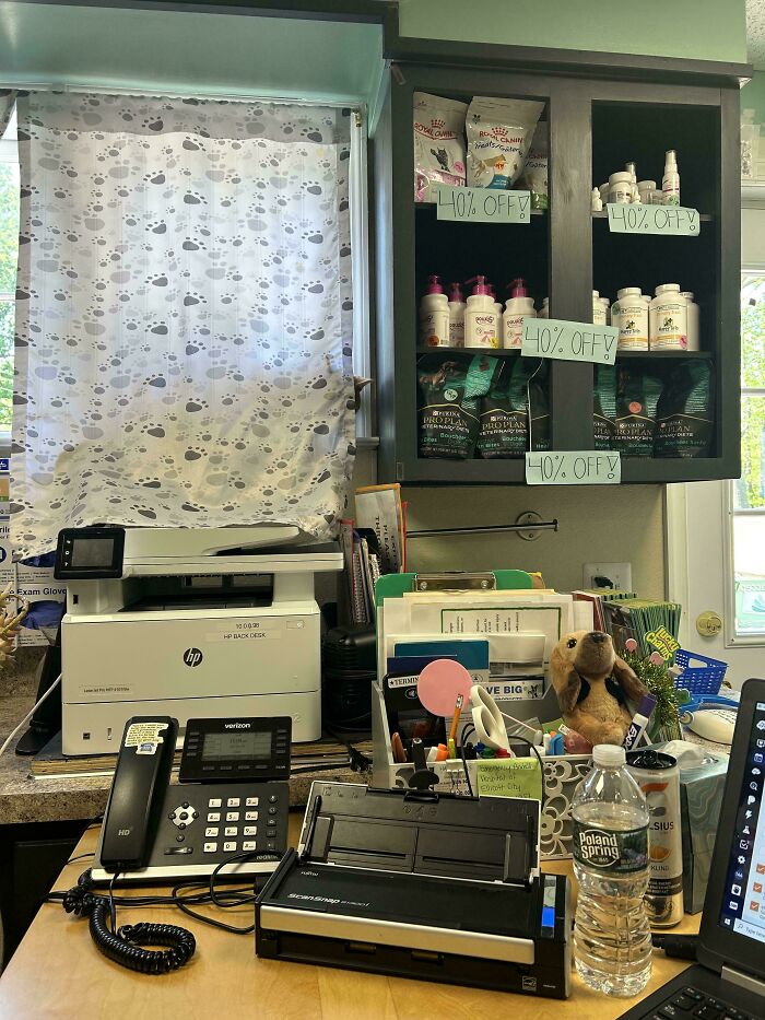 Cat blending into paw print curtain in an office setting with printer, phone, and shelves of pet products on sale.