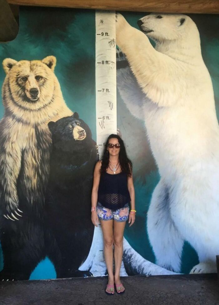 Woman standing for scale in front of a mural showing the size comparison of different bear species including a polar bear.