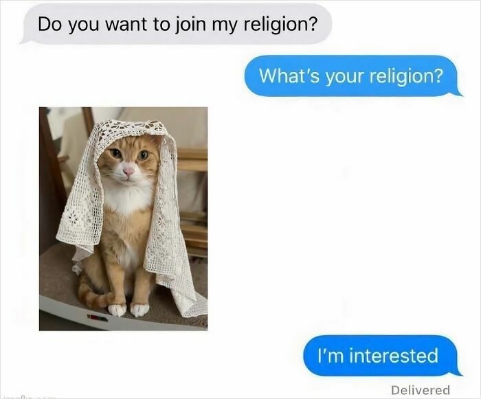 Text message meme with a cat wearing a lace cloth, humorously inviting to join a religion, introvert memes theme.
