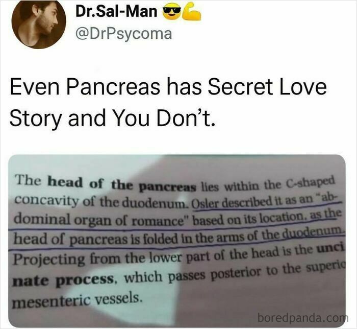 Medical meme showing a humorous anatomy note about the pancreas described as an abdominal organ of romance.