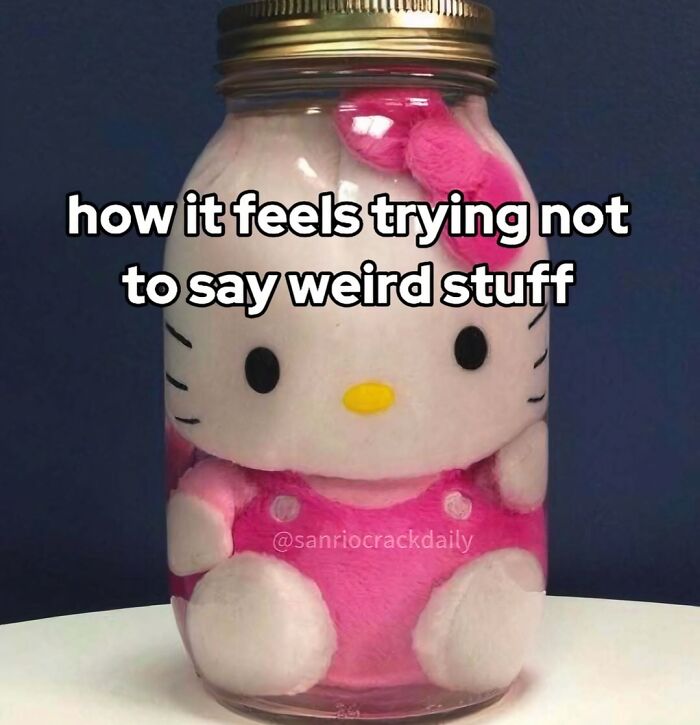 Plush toy inside a jar with text about the feeling of trying not to say weird stuff, related to introvert memes.