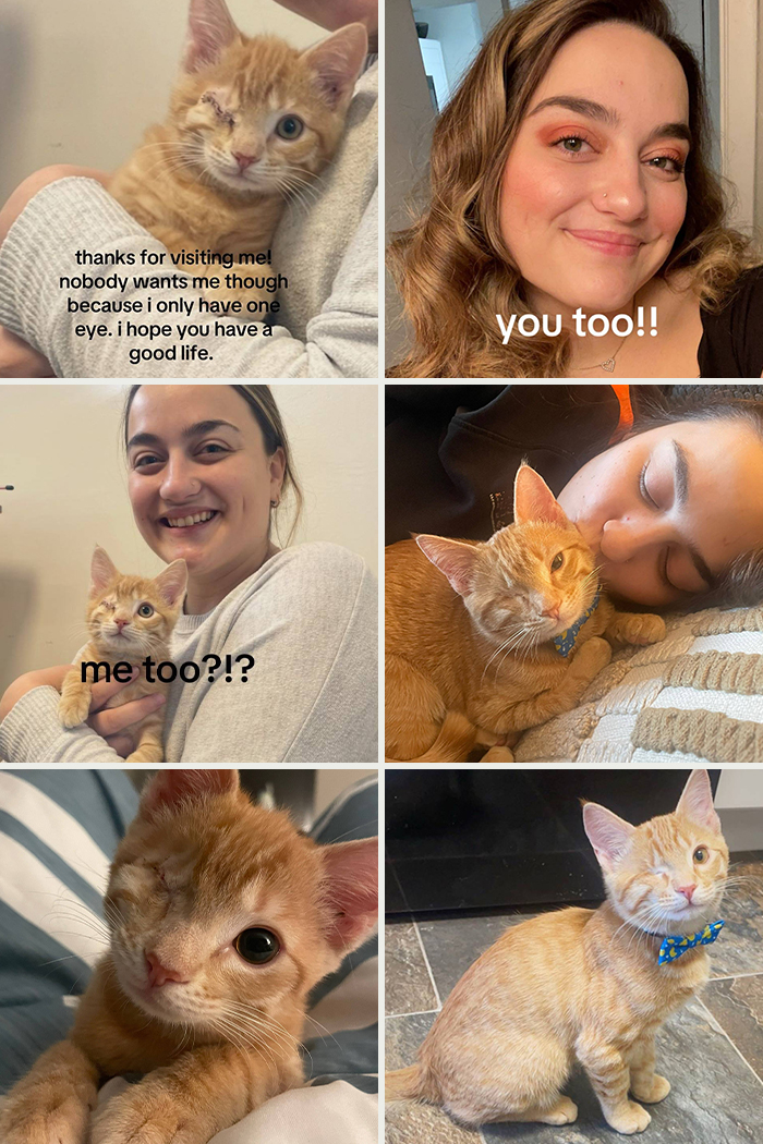 Orange one-eyed cat with smiling woman in various adoption moments, showcasing heartwarming pet adoption pics and bond.
