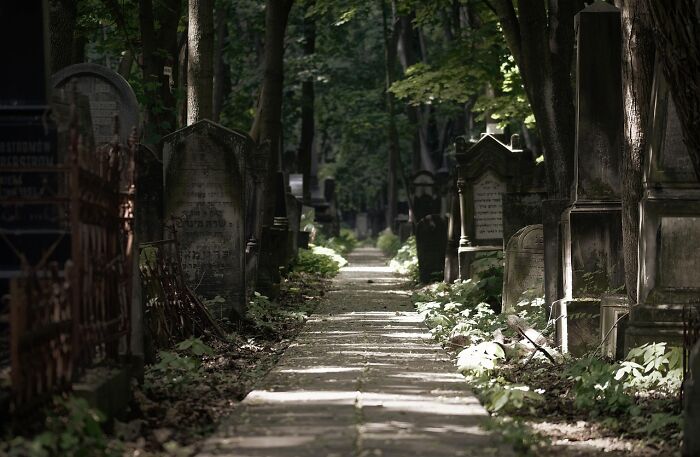 Old narrow cemetery path lined with weathered gravestones and dense trees, evoking chaotic and haunting food delivery driver stories.