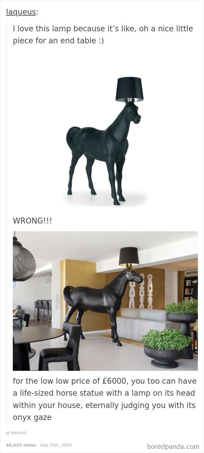 Life-sized black horse statue lamp in modern living room, showcasing one of the weirdest purchases people make instantly.