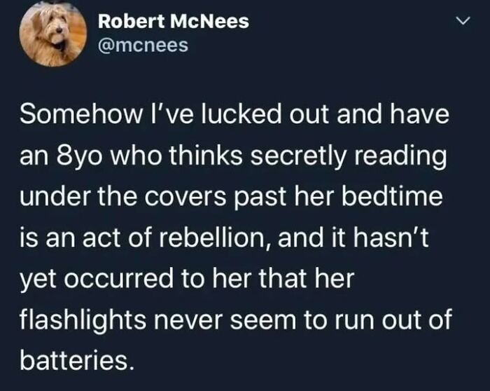 Wholesome post about an 8-year-old secretly reading under covers, believing it’s rebellious, from wholesome posts to distract readers.