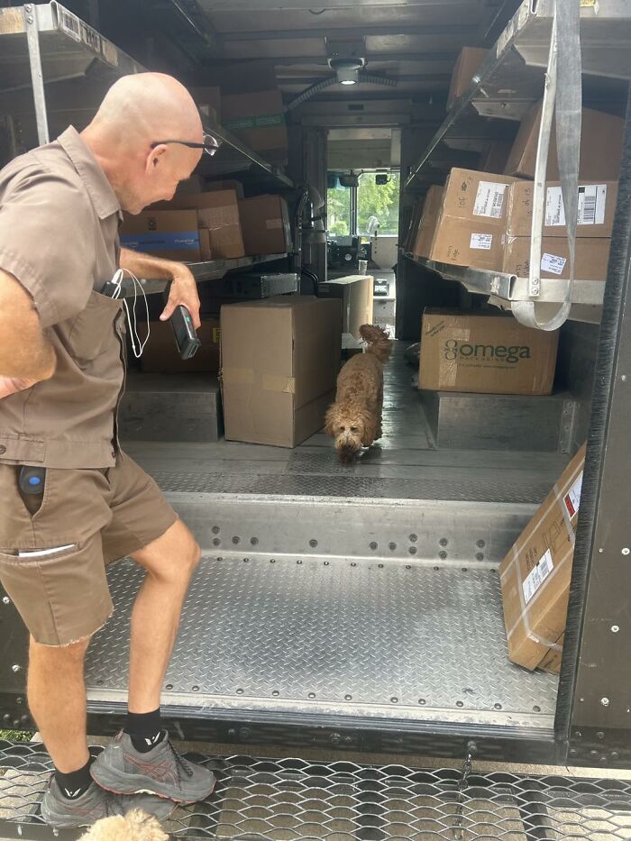 UPS driver smiling at a small dog inside a delivery truck surrounded by packages and boxes during a delivery stop.