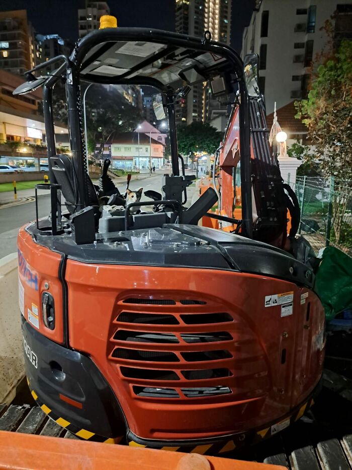 Cat sitting inside an orange construction vehicle at night in an urban area, showcasing adorable cats in unique settings.