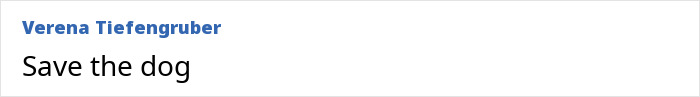 Text message reading Save the dog by Verena Tiefengruber in blue and black font on a white background referencing Britney Spears inner circle concerns. Text message reading Save the dog by Verena Tiefengruber in blue and black font on a white background referencing Britney Spears inner circle concerns.