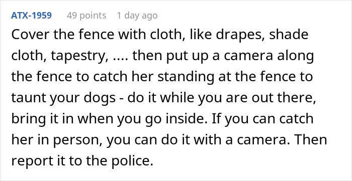 Comment advising to cover fence holes and use a camera to catch neighbor spying and taunting dogs before reporting to police.