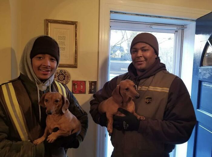Two smiling UPS drivers holding adorable dachshund dogs inside a cozy home near a window and open door.