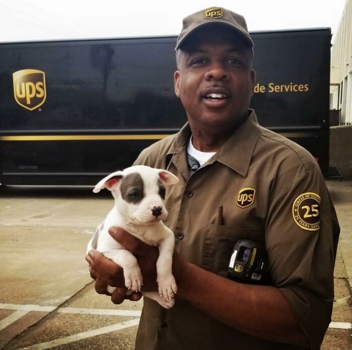 UPS driver holding an adorable puppy in front of a UPS truck, showcasing cute pet moments during deliveries.