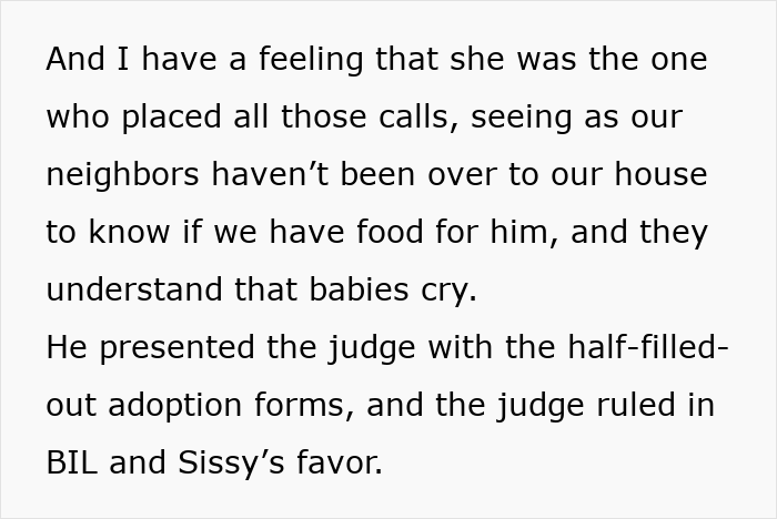 Text excerpt describing a sister mistakenly sending adoption papers after a babysitting offer involving a baby.