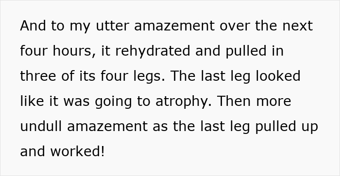 Woman rescues a frog from her fridge, showing kindness that quickly goes viral and captivates the internet audience. Woman rescues a frog from her fridge, showing kindness that quickly goes viral and captivates the internet audience.