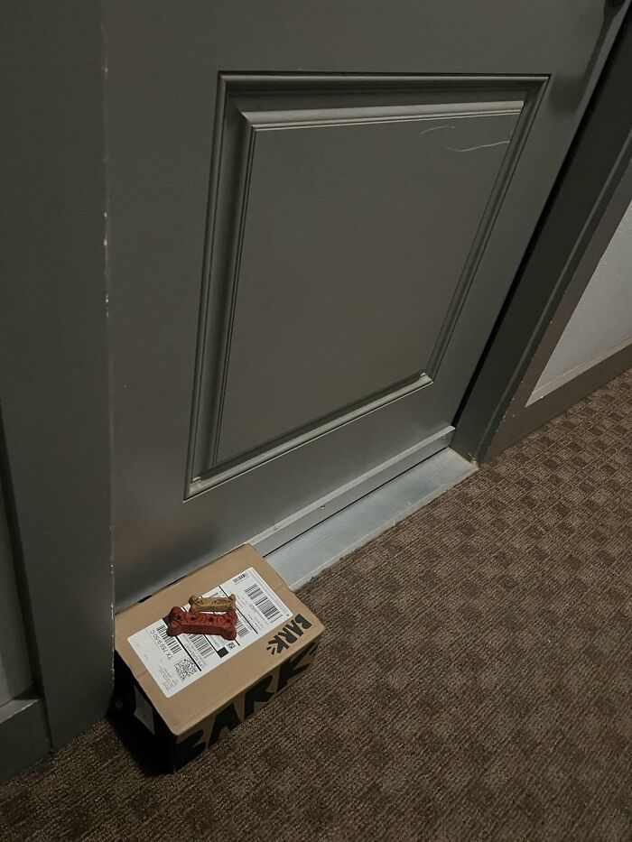 Package left at a door with dog treats on top, highlighting wholesome posts to distract from the current world horrors.