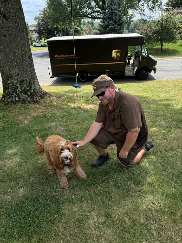 UPS driver kneeling on grass petting an adorable dog near a UPS truck on a residential street on a sunny day.