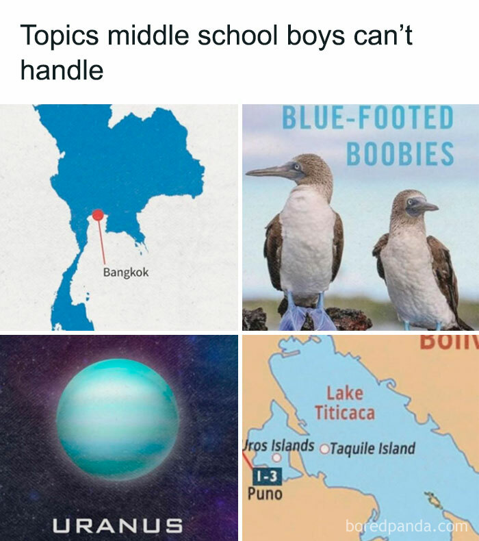 Meme collage showing 90s relatable humor with maps and birds, highlighting millennial nostalgia and therapy alternatives.