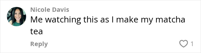 Comment by Nicole Davis with profile picture, expressing concern while making matcha tea about health issues related to the trendy drink.