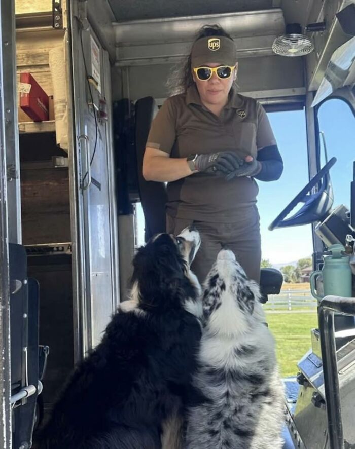 UPS driver inside delivery truck interacting with two adorable dogs eagerly looking up at her during a sunny day.