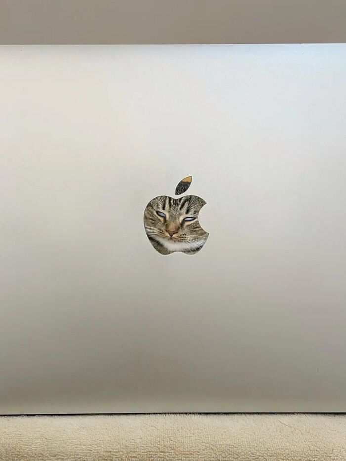Cat with an immaculate aura appears through the Apple logo cutout on a silver laptop in a minimalist setting.