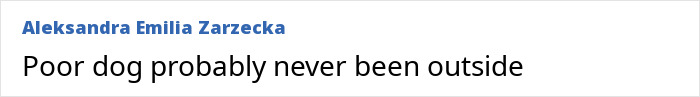 Comment reading Poor dog probably never been outside, related to Britney Spears inner circle behavior growing darker with dog poop incident. Comment reading Poor dog probably never been outside, related to Britney Spears inner circle behavior growing darker with dog poop incident.