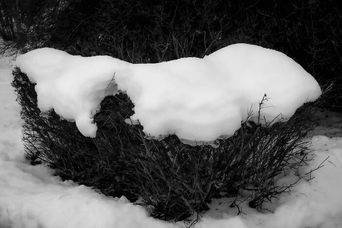 Fallen Cloud #1 From The Series 'Fallen Clouds' © Christer Björkman