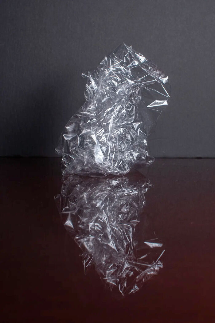 Saran Wrap From The Series 'Shapeshifting' © Lisa Donneson