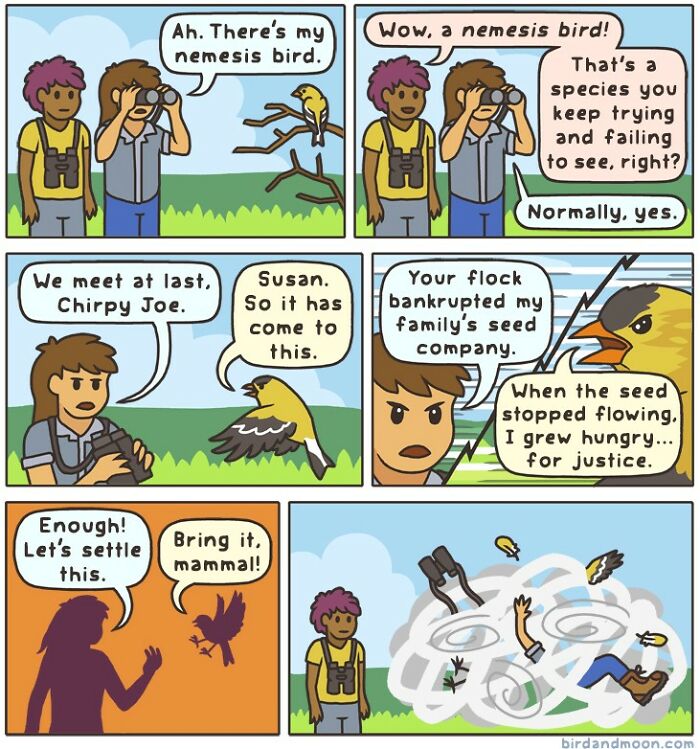 Playful comic strip showing humorous interaction between a birdwatcher and birds, highlighting nature and wildlife comedy.