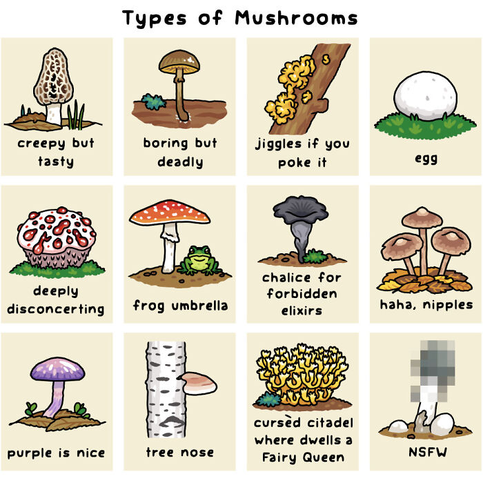 Illustration of playful comics showing funny types of mushrooms with humor and wildlife nature elements.
