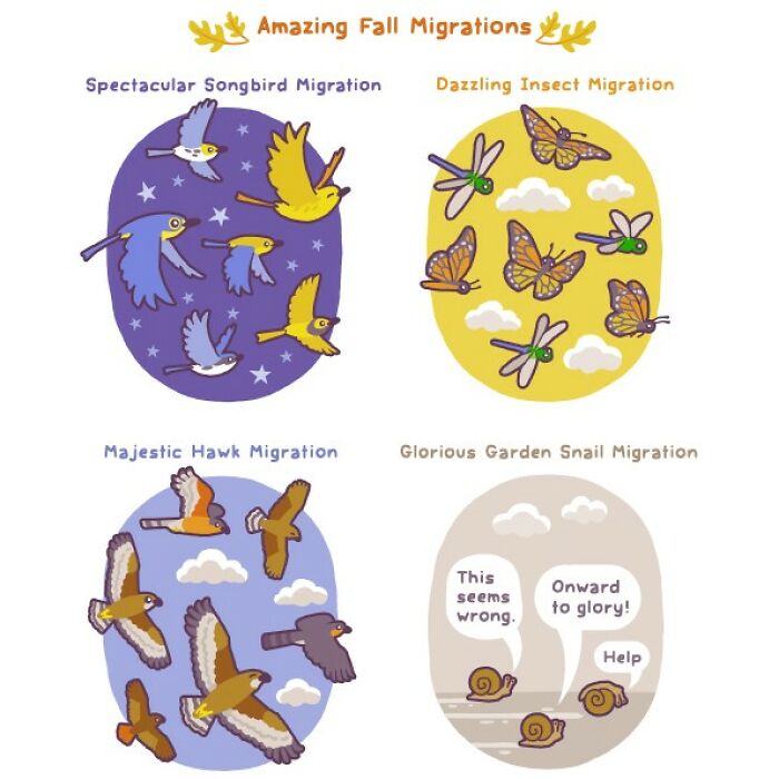 Playful comic illustration showing funny wildlife migrations of songbirds, insects, hawks, and garden snails in nature.