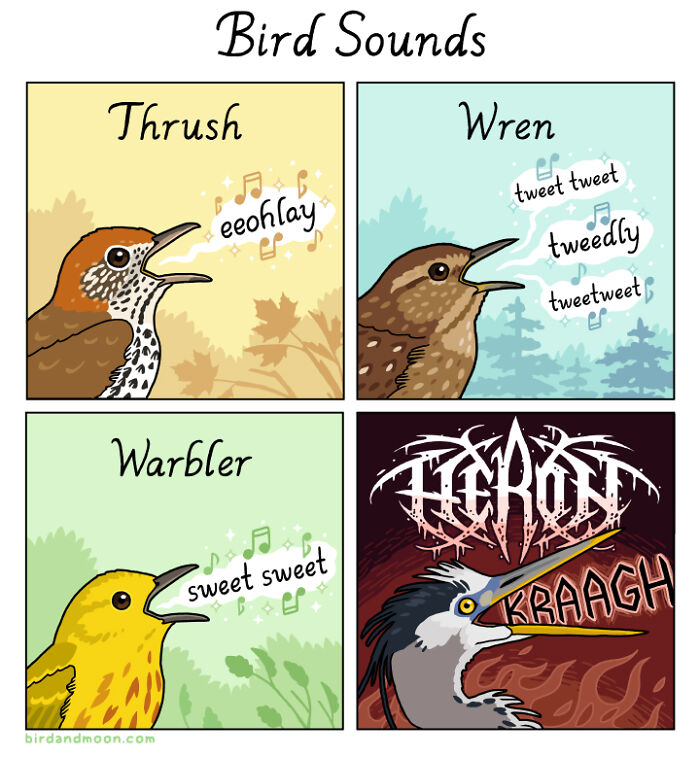 Comic illustration showing playful bird sounds from thrush, wren, warbler, and heron, highlighting nature and wildlife humor.