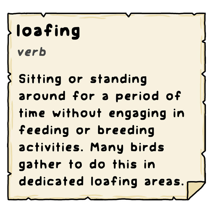 Definition of loafing in playful comics showing the funny side of nature and wildlife by an artist.