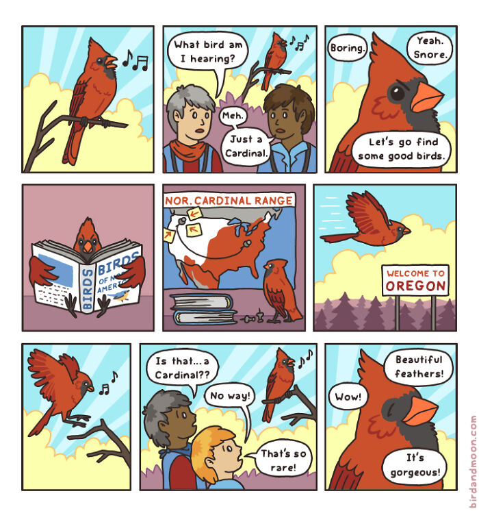 Playful comics depicting the funny side of nature and wildlife featuring a cardinal bird and humorous human reactions.