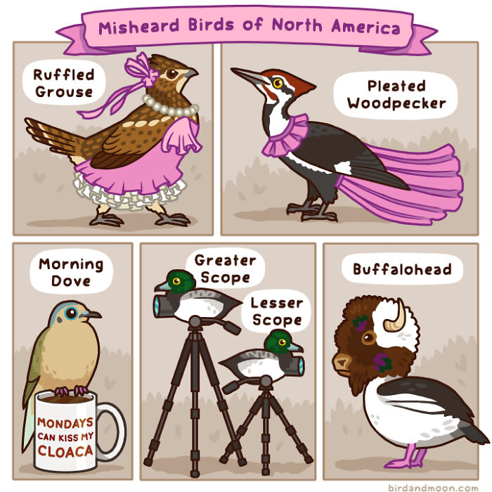 Playful comic illustrating humorous misheard bird names with cartoons of nature and wildlife by an artist.