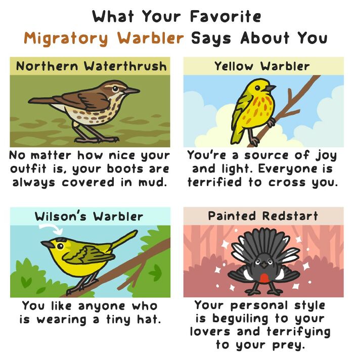 Playful comics depicting migratory warblers with funny descriptions showing the humorous side of nature and wildlife.