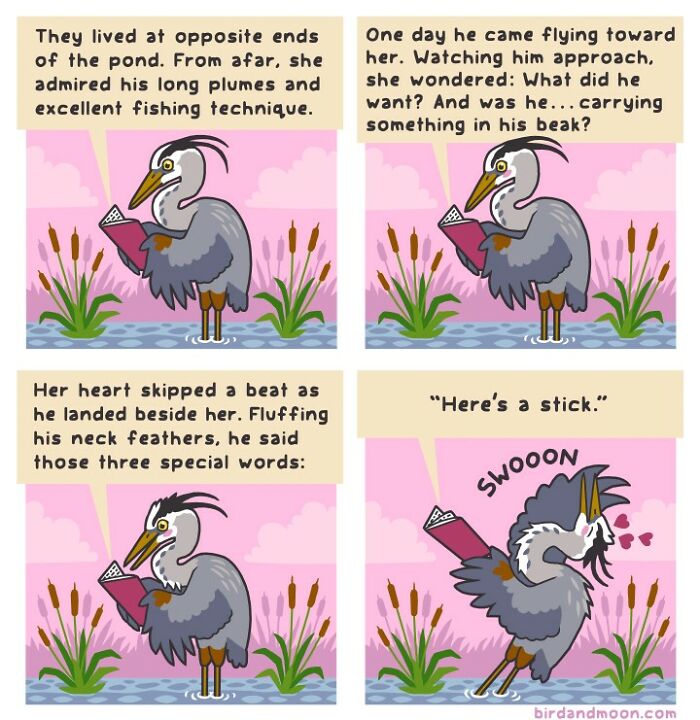 Playful comic of a bird at a pond showing the funny side of nature and wildlife with humorous storytelling.
