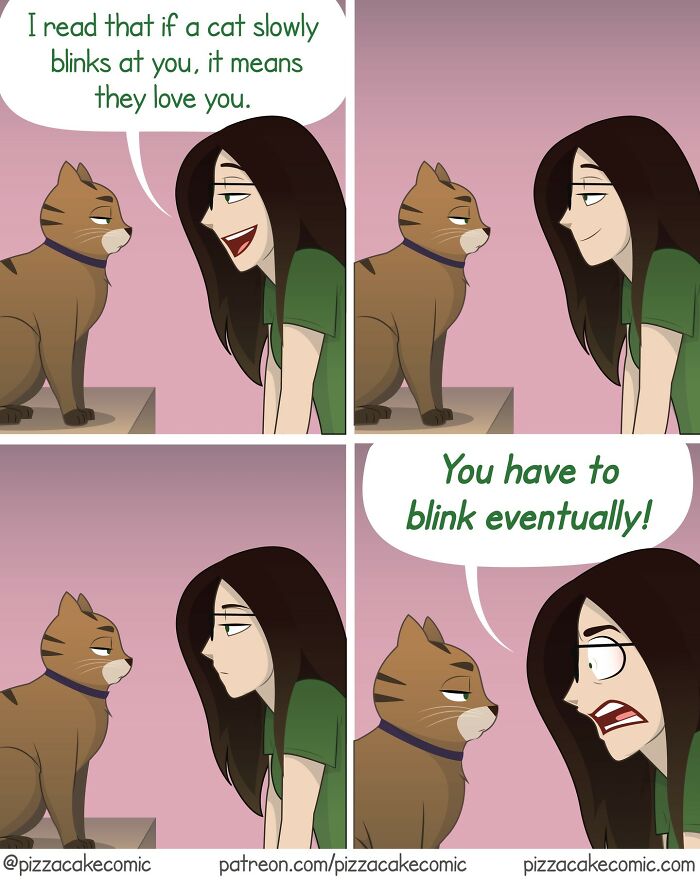 Four-panel PizzaCake comic showing a woman and her cat blinking at each other about cat love and family humor.