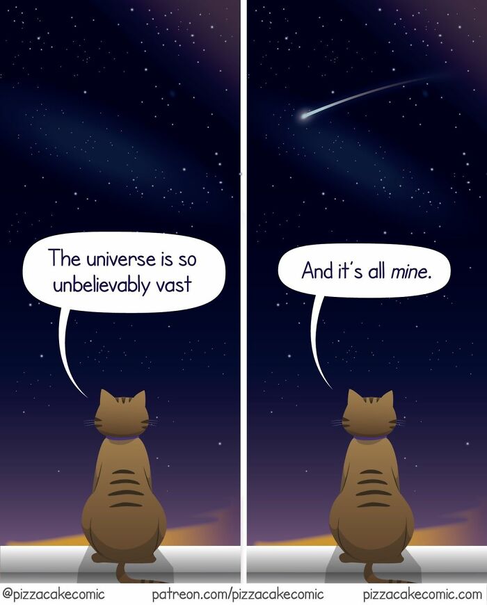 A PizzaCake comic featuring a cat looking at the vast night sky with funny, relatable dialogue about life.